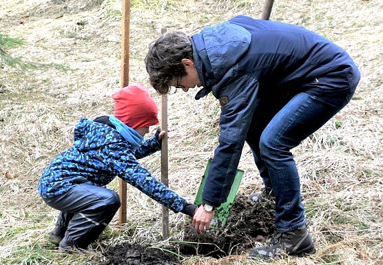 Frühjahrsaufforstung - Helfende Hände gesucht (Foto: Horst Sproßmann) Frühjahrsaufforstung - Helfende Hände gesucht (Foto: Horst Sproßmann)