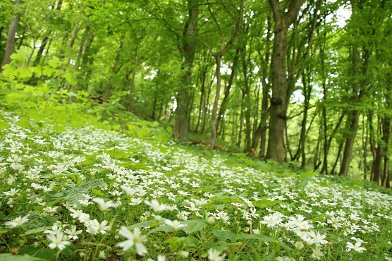 Wetterbild (Foto: agl) Wetterbild (Foto: agl)