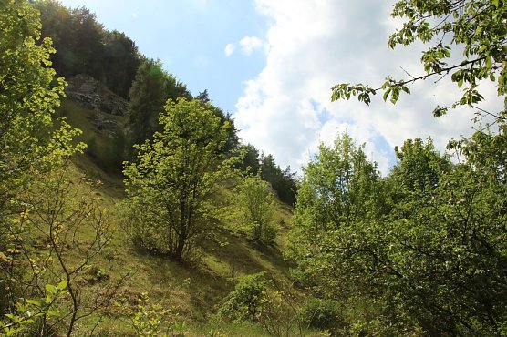 Wetterbild (Foto: agl) Wetterbild (Foto: agl)