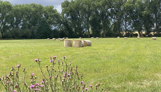 Bei Bad Langensalza (Foto: oas)