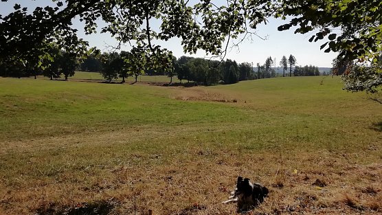 Sophienhof meldete heute fr&uuml;h am Morgen schon 17 Grad. (Foto: W.J&ouml;rgens)
