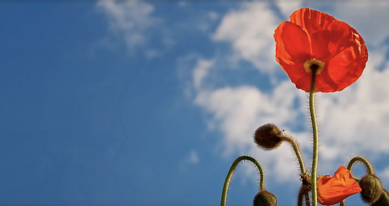 Wetterbild (Foto: Foto-Rabe) Wetterbild (Foto: Foto-Rabe)