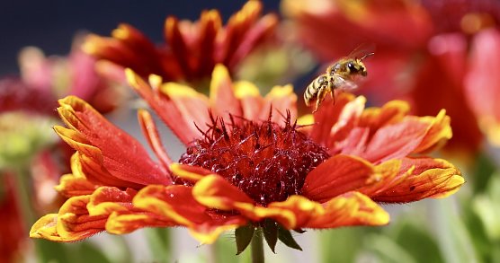 Symbolbild (Foto: Eva Maria Wiegand) Symbolbild (Foto: Eva Maria Wiegand)