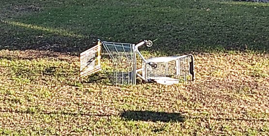 Weit geworfener Einkaufswagen (Foto: A.Zeidler) Weit geworfener Einkaufswagen (Foto: A.Zeidler)