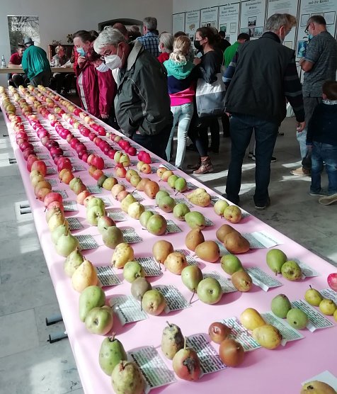 Obstsortentag in der Orangerie (Foto: Karsten Stiehler)
