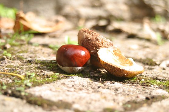 Wetterbild (Foto: WirSinds)