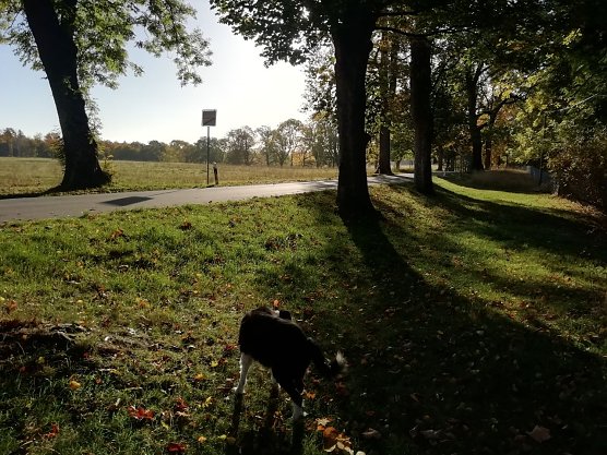 Die Sonne lie&szlig; sich heute &uuml;ber Sophienhof noch blicken, etwas frischer als im Tal ist es hier oben aber schon (Foto: W. J&ouml;rgens)