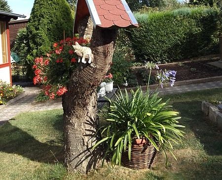 Der Garten im November (Foto: W. Schumann)