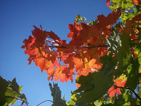 Wetterbild (Foto: wirsinds) Wetterbild (Foto: wirsinds)