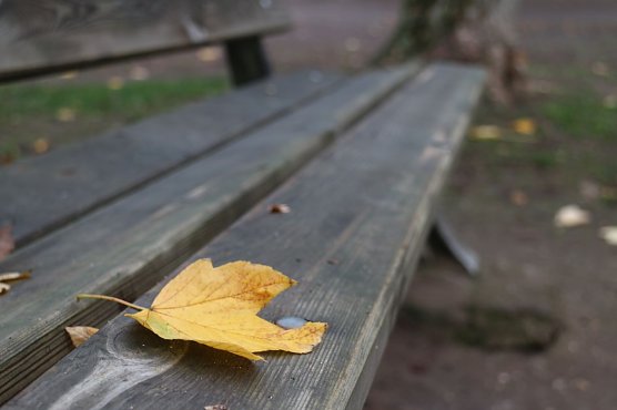 Wetterbild (Foto: agl) Wetterbild (Foto: agl)