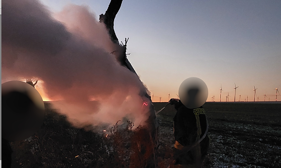 Abgebrannter Baum zwischen Feldengel und Trebra (Foto: S. Dietzel) Abgebrannter Baum zwischen Feldengel und Trebra (Foto: S. Dietzel)