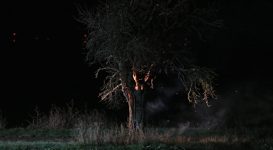 Brennender Baum bei Holzengel (Foto: S. Dietzel) Brennender Baum bei Holzengel (Foto: S. Dietzel)