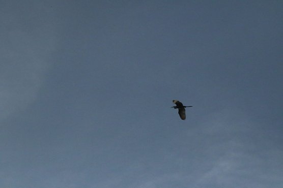 Wetterbild (Foto: agl) Wetterbild (Foto: agl)