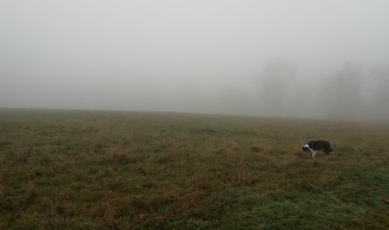 Im Harz ist heute nicht allzu viel zu sehen (hier: Sophienhof) (Foto: W. J&ouml;rgens)