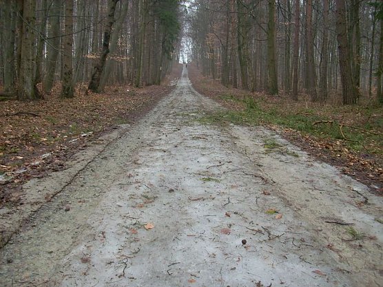 20. Possenlauf (Foto: Karl-Heinz Herrmann) 20. Possenlauf (Foto: Karl-Heinz Herrmann)