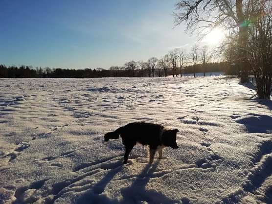 Schnee und Sonnenschein (Foto: W. Jörgens) Schnee und Sonnenschein (Foto: W. Jörgens)