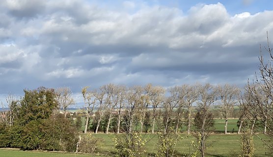 Ein stürmischer Jahreswechsel steht bevor (Foto: oas) Ein stürmischer Jahreswechsel steht bevor (Foto: oas)