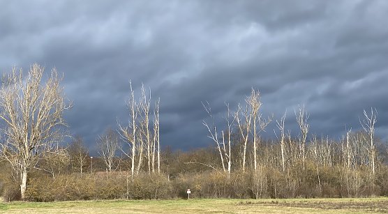 Das frühliingshafte Wetter bleibt uns weiter erhalten (Foto: oas) Das frühliingshafte Wetter bleibt uns weiter erhalten (Foto: oas)