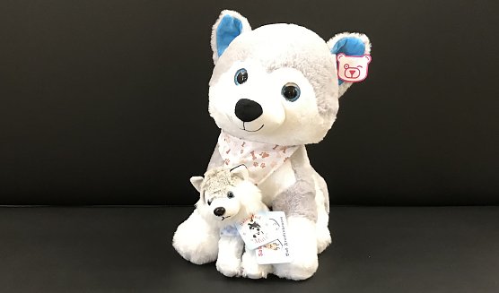 MUTZ der Salzhund hat Geburtstag (Foto: Eva Maria Wiegand)