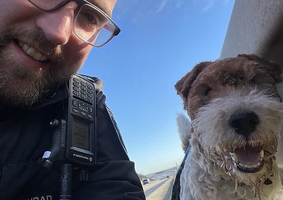 Ein Hund retteten die Beamten heute fr&uuml;h auf der A 4 (Foto: Autobahnpolizei)