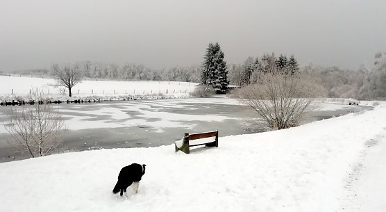 Der winterliche Harz l&auml;dt bei Werten um den Gefrierpunkt zu Spazierg&auml;ngen ein (Foto: W.J&ouml;rgens)