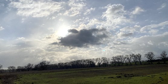 Das Januarwetter in der Statistik (Foto: oas) Das Januarwetter in der Statistik (Foto: oas)