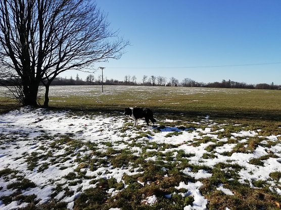 Im Harz kommt die Sonne langsam gegen den Winter an (Foto: W. Jörgens) Im Harz kommt die Sonne langsam gegen den Winter an (Foto: W. Jörgens)