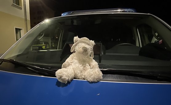 Sucht dringend seinen Besitzer: Teddy (Foto: Polizei) Sucht dringend seinen Besitzer: Teddy (Foto: Polizei)
