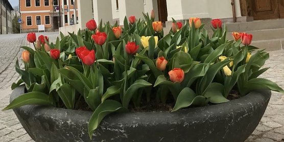 Ostermarkt in Sondershausen (Foto: Eva Maria Wiegand)