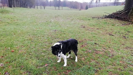3 Grad und Regen gab es heute Morgen aus Sophienhof zu vermelden (Foto: W.Jörgens) 3 Grad und Regen gab es heute Morgen aus Sophienhof zu vermelden (Foto: W.Jörgens)