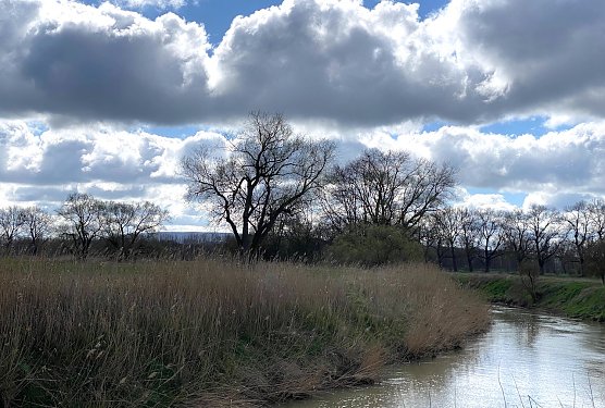 An der Unstrut  (Foto: oas)