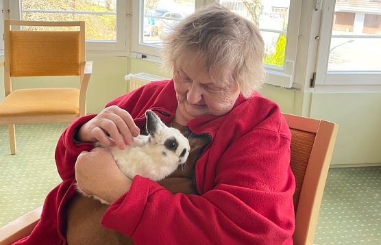 Neue Zwergkaninchen wohnen in der Seniorenresidenz Udo-Stiemerling-Haus (Foto: Alice Mattauch)
