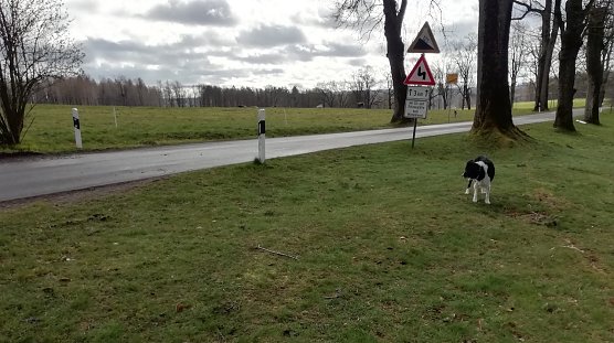 Drei Grad, starker Wind und zeitweise Sonne heute Morgen in Sophienhof iim Harz (Foto: W.Jörgens) Drei Grad, starker Wind und zeitweise Sonne heute Morgen in Sophienhof iim Harz (Foto: W.Jörgens)