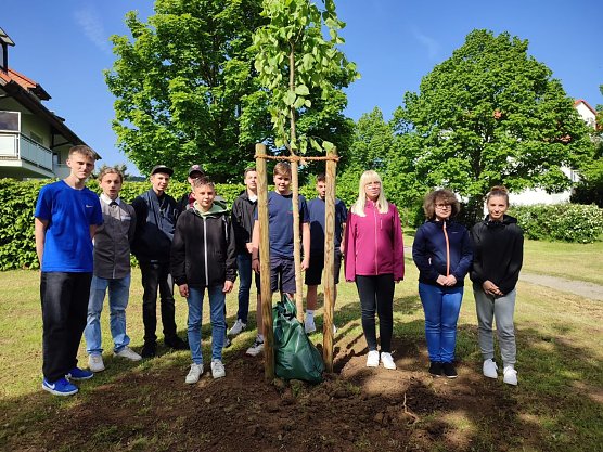 Neue Jugendweiheb&auml;ume f&uuml;r Bad Frankenhausen (Foto: Sindy Gutjahr)