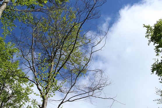 Wetterbild (Foto: agl) Wetterbild (Foto: agl)