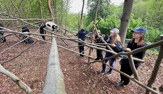 Flyd testet das neue Kletterger&uuml;st, welches seine Paten, Sch&uuml;ler der Franzbergschule, gebaut haben (Foto: Silvio Dietzel)
