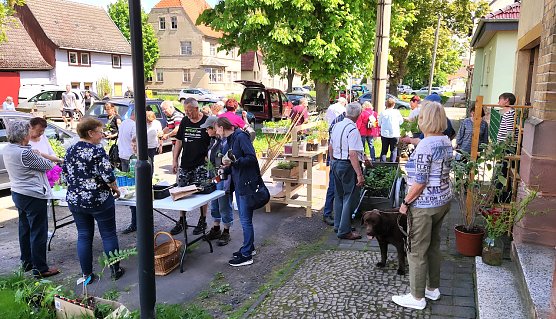 Auch die 9. Pflanzentauschb&ouml;re war erfolgreich (Foto: Peter Zimmer)