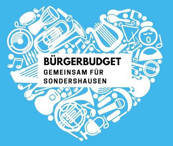 Abstimmung B&uuml;rgerbuget (Foto: Janine Skara)