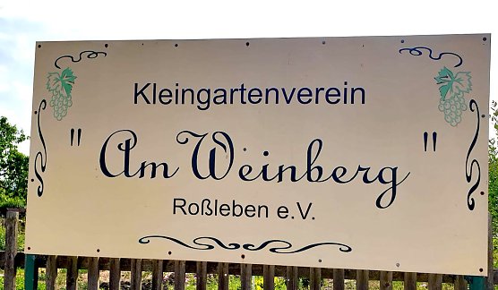 Sommerfest in Kleingartenverein "Am WEinberg" (Foto: Knut Herzau)