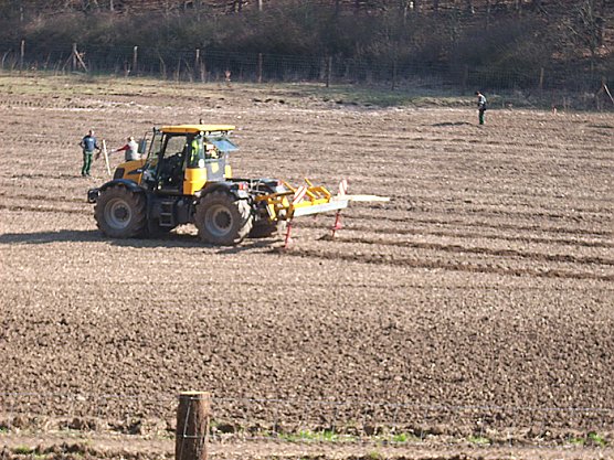 Baumpflanzung Possenauffahrt (Foto: Karl-Heinz Herrmann)