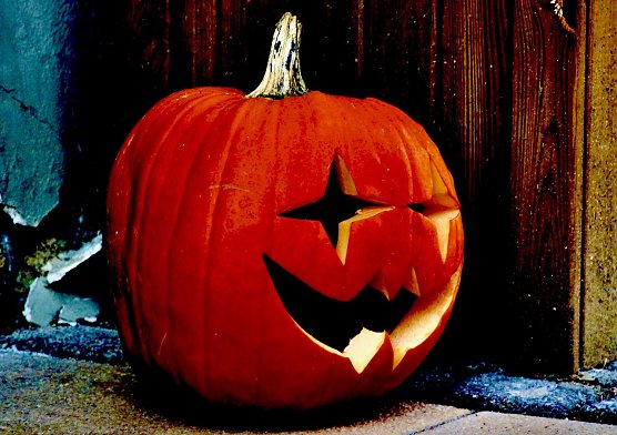 Helloween-K&uuml;rbis (Foto: Eva Maria Wiegand)