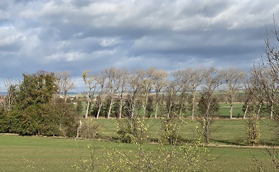 K&uuml;hle Temperaturen sind ab morgen angesagt (Foto: oas)