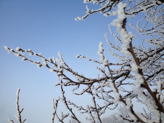Wetterbild (Foto: nnz) Wetterbild (Foto: nnz)