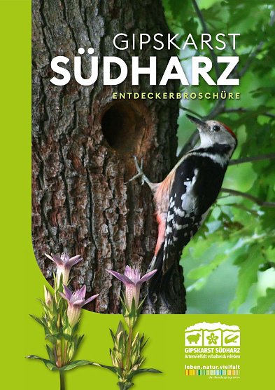 Entdeckerbrosch&uuml;re f&uuml;r den S&uuml;dharz (Foto: Biosph&auml;renreservat S&uuml;dharz)