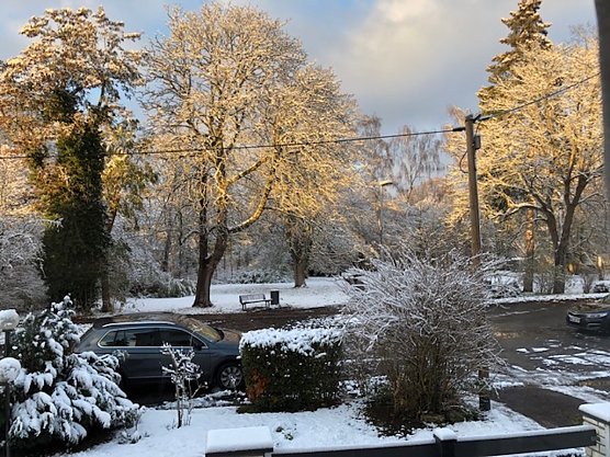 Blick auf den F&ouml;rstemannpark in Nordhausen im November 2023 (Foto: Bernd Dempwolf)