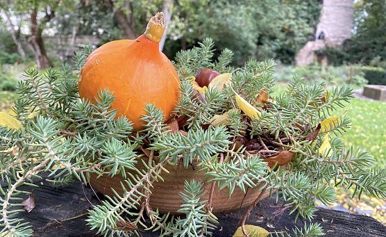 Keine weiße, aber eine nasse Weihnacht steht uns bevor (Foto: oas) Keine weiße, aber eine nasse Weihnacht steht uns bevor (Foto: oas)