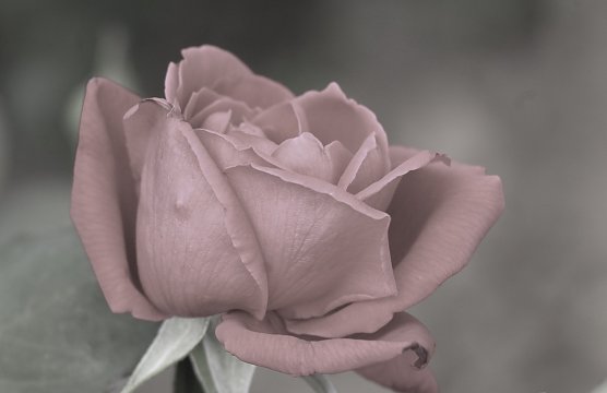 Symbolbild (Foto: Eva Maria Wiegand) Symbolbild (Foto: Eva Maria Wiegand)