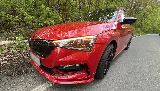 Ein Skoda kollidierte mit eine jungen Rehbock (Foto: S.Dietzel)
