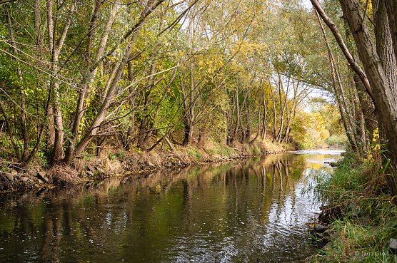 Die Wipper von der Quelle bis zur Mündung (Foto: Jana Groß) Die Wipper von der Quelle bis zur Mündung (Foto: Jana Groß)