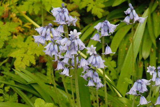 Wetterbild (Foto: agl)